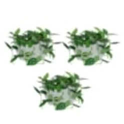 Pack de 3 pots muraux grises