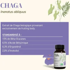 Pack french mush la cure complète pour énergie et bien-être gélules