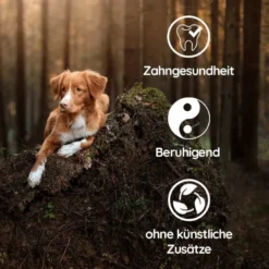 Pack xxl wildfang «bienvenue liebling» pour chiots