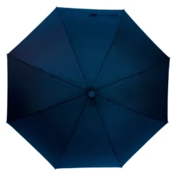 Parapluie canne bois