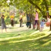 Parcours obstacles ninja hypermotion - slackline 15m & 10 agrès - jardin sportif