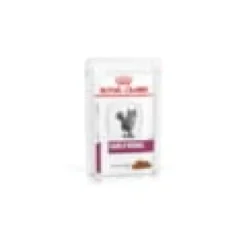 Patée chat veterinary cat early renal - royal canin