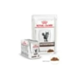 Patée chat veterinary cat gastrointestinal - royal canin