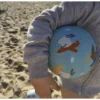 Petit ballon les chiens - petit jour