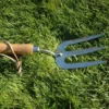 Petite fourche