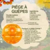 2 piège à guêpes frelons extérieur réutilisable orange
