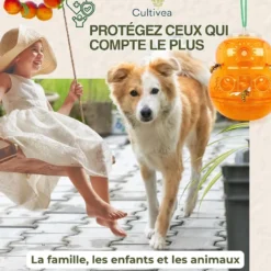 2 piège à guêpes frelons extérieur réutilisable orange