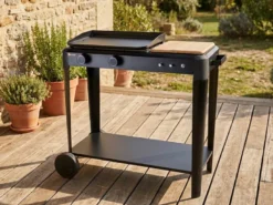 Plancha gaz 2 brûleurs sur chariot hendaye 250 - somagic
