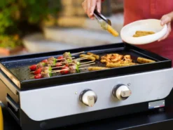 Plancha gaz original 260 duo v2 - le marquier