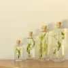 Plante immergée algue aquatique h12