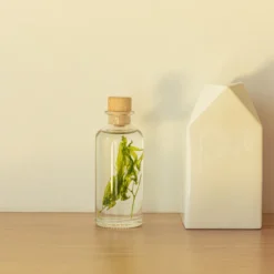 Plante immergée algue aquatique h12