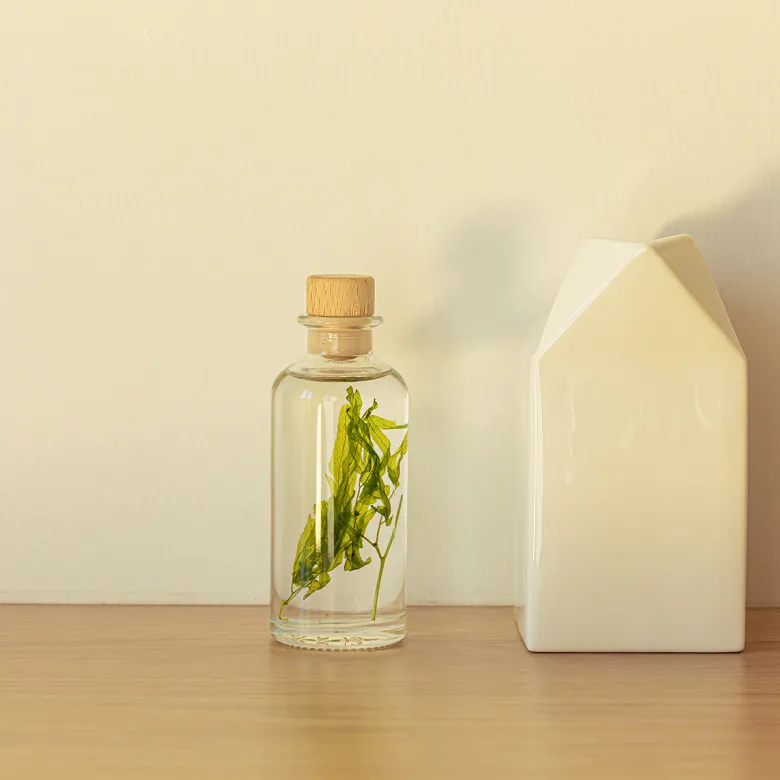 Plante immergée algue aquatique h12