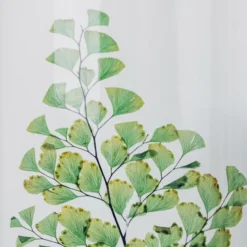 Plante immergée fougère luthi verte h12