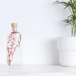 Plante immergée lepidium rouge h17
