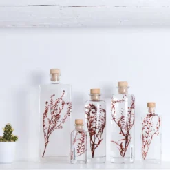 Plante immergée lepidium rouge h17