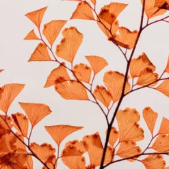 Plante immergée luthi terracotta h21
