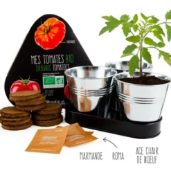 Plateau trio pots zinc - tomates bio