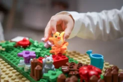 Play & build maxi - compatible duplo®