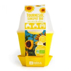 Plot cloche pour semis de tournesol