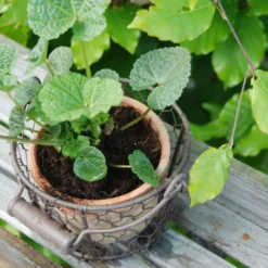 Porte pot métal et pot en terre cuite