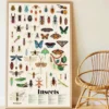 Poster géant 44 stickers insectes