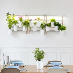 Potager d'intérieur Modulo en bois