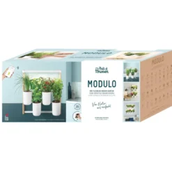 Potager d'intérieur Modulo en bois
