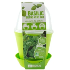Pot cloche de culture basilic bio