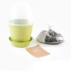 Pot cloche de culture basilic bio