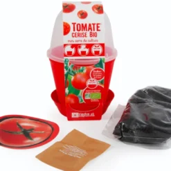 Pot cloche pour semis de tomate 'cerise'