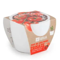 Pot pour semis de tomate-cerise