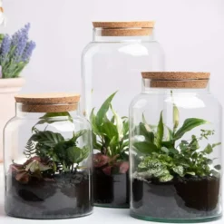 Pot pour terrarium 26 cm