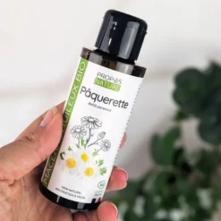 Pâquerette (bellis) bio - macérât huileu