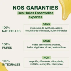 Pranarom - sirop - voies respiratoires - bio