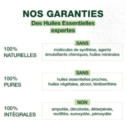 Pranarom - spray nasal décongestionnant pour rhinite allergique