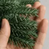 [prévente] sapin de noël artificiel réaliste 150 cm, 550 embouts