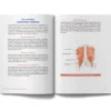 Psoas Réveiller le muscle de l'équilibre physique et émotionnel