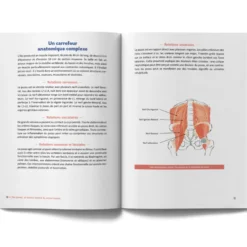 Psoas Réveiller le muscle de l'équilibre physique et émotionnel