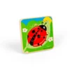 Puzzle cycle de vie - coccinelle