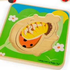 Puzzle cycle de vie - coccinelle