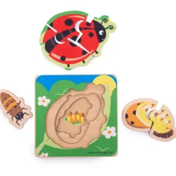 Puzzle cycle de vie - coccinelle