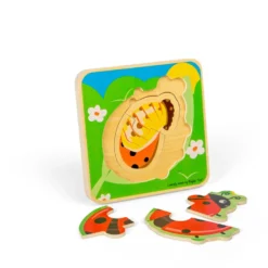 Puzzle cycle de vie - coccinelle