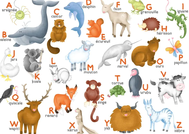 Puzzle - l'alphabet des animaux