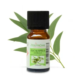 Quatuor d'huiles essentielles eucalyptus, arbre à thé, lavandin & orange