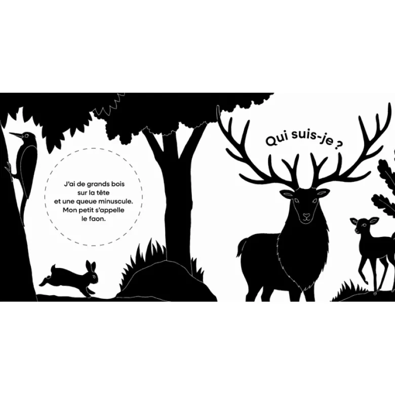 Qui vit dans la forêt ? Devinettes