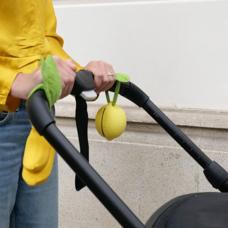 Range sucette lou le lemon
