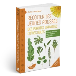 Récolter jeunes plantes sauvages