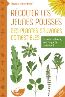 Récolter jeunes plantes sauvages