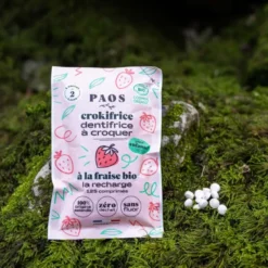 Recharge dentrifrice croquer bio fraise