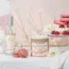 Recharge diffuseur macaron framboise